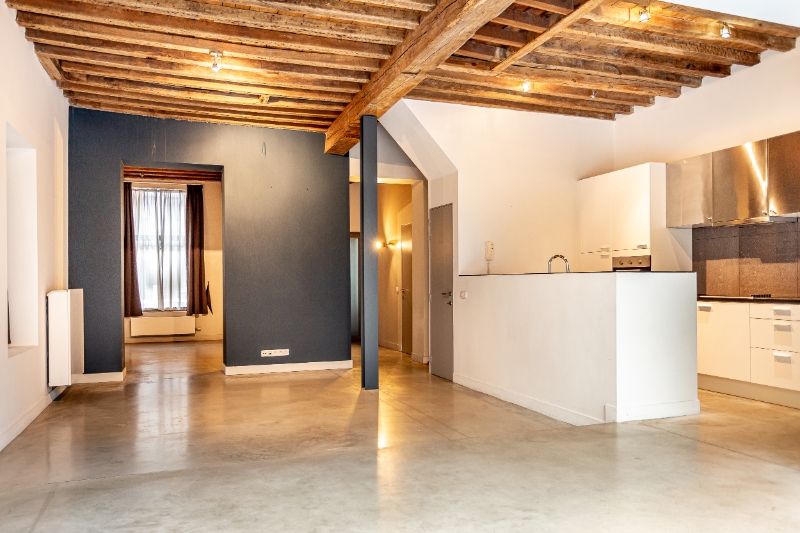 Vernieuwd ruim duplex appartement in Leuven